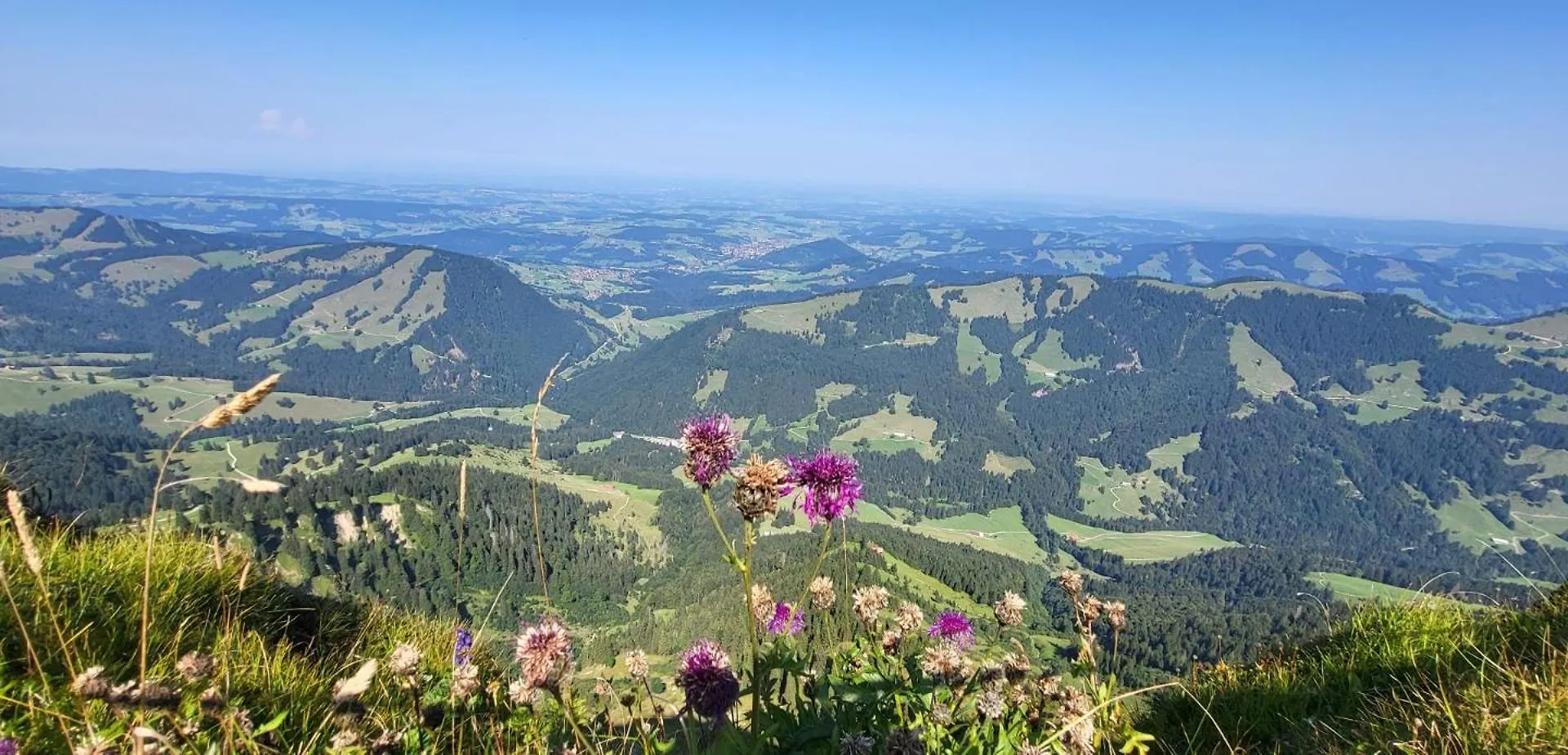 Exklusive Fewo Allgaeustern Steibis Mit Wlan Sauna Kamin Und Oberstaufen Plus Card Apartment