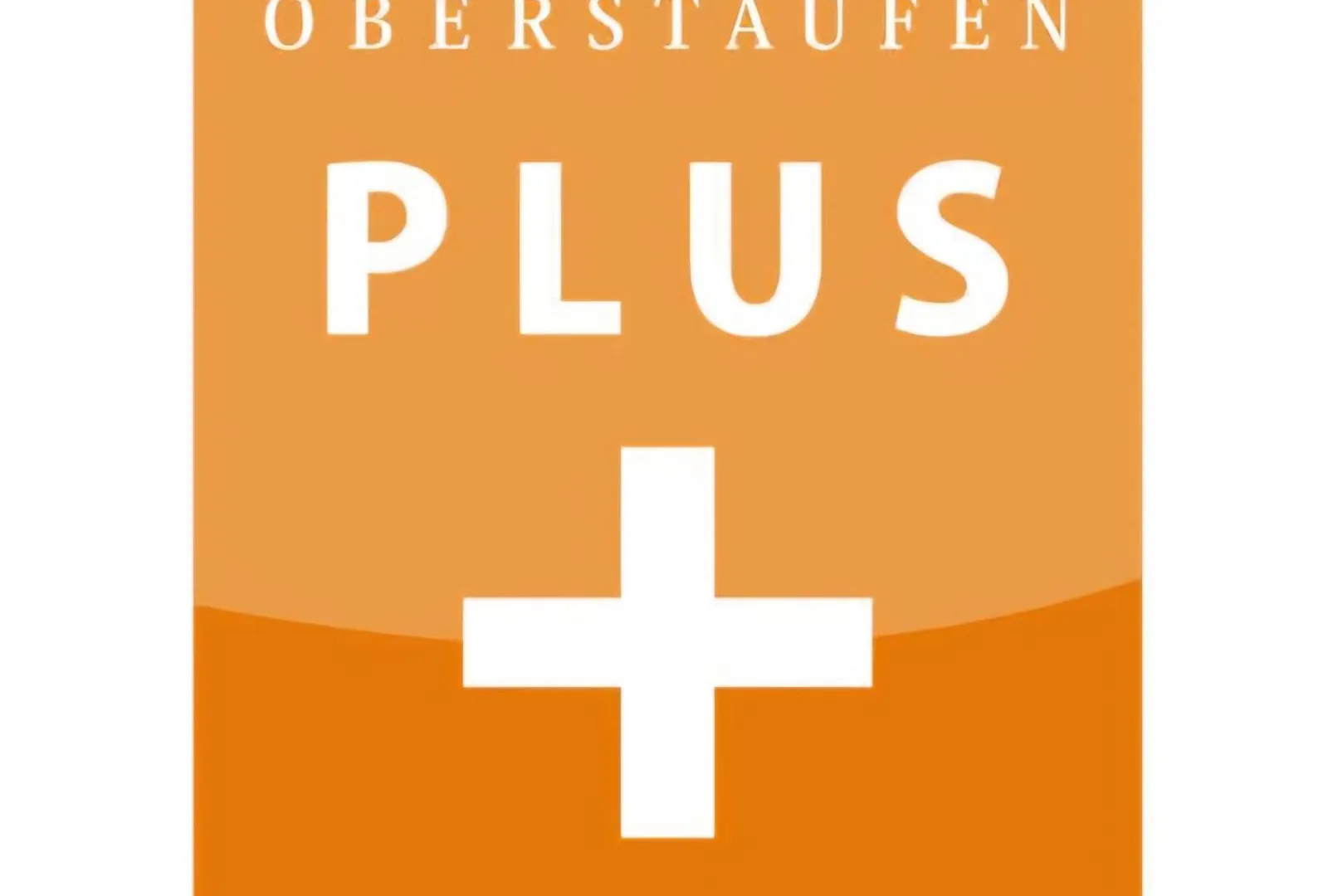 Apartment Exklusive Fewo Allgaeustern Steibis Mit Wlan Sauna Kamin Und Oberstaufen Plus Card
