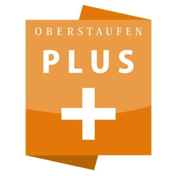 Exklusive Fewo Allgaeustern Steibis Mit Wlan Sauna Kamin Und Oberstaufen Plus Card