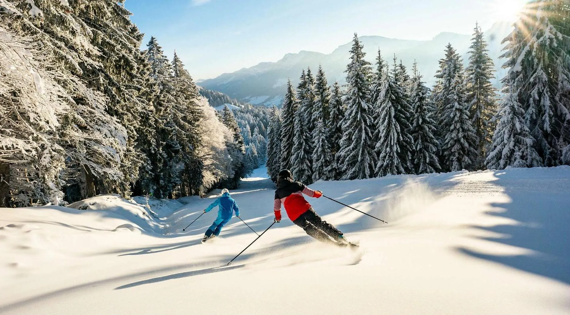 Exklusive Fewo Allgaeustern Steibis Mit Wlan Sauna Kamin Und Oberstaufen Plus Card Apartment